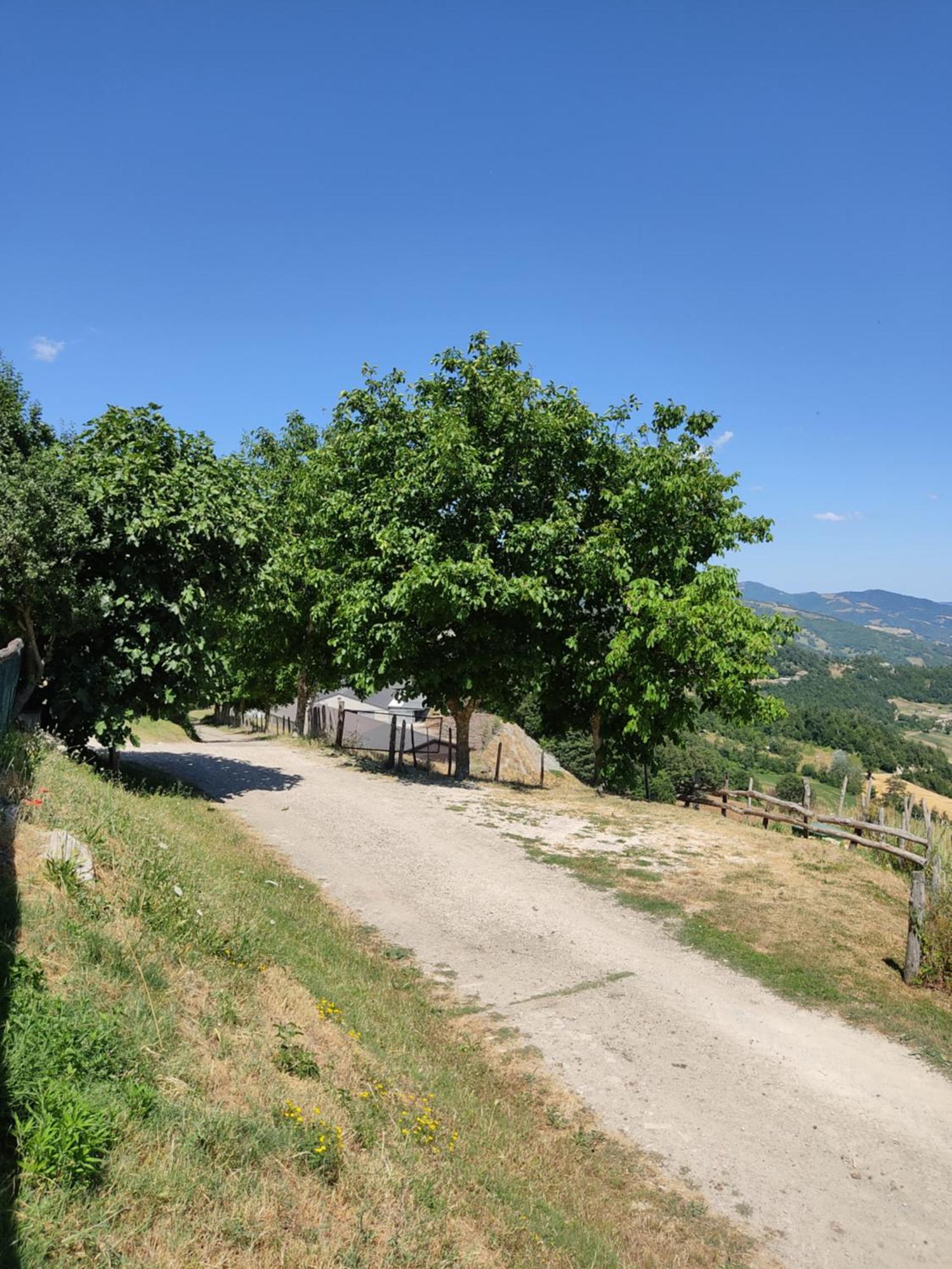 Agriturismo Al Monte San Piero in Bagno Exterior photo